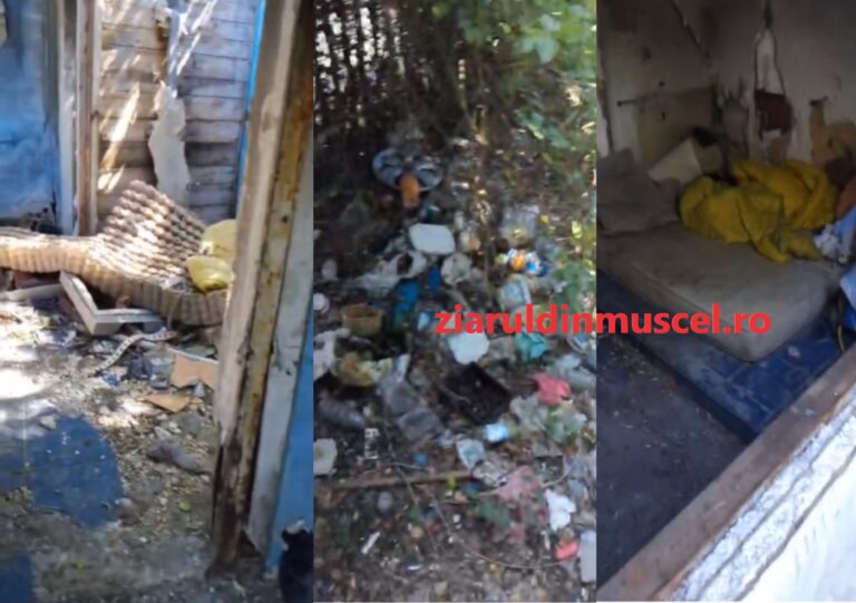 VIDEO. Bomba jegului. Așa arată căsuțele săracilor dintr-un cartier în orașul condus de Elena Lasconi