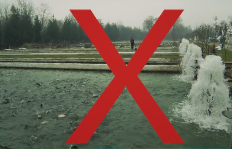 Păstrăvăriile din Argeș care se închid pe bandă rulantă. O alertă, în zona noastră, riscă să le bage, una după alta în faliment! Păstrăvăriile din Argeș care se închid pe bandă rulantă. O alertă, în zona noastră, riscă să le bage, una după alta în faliment!